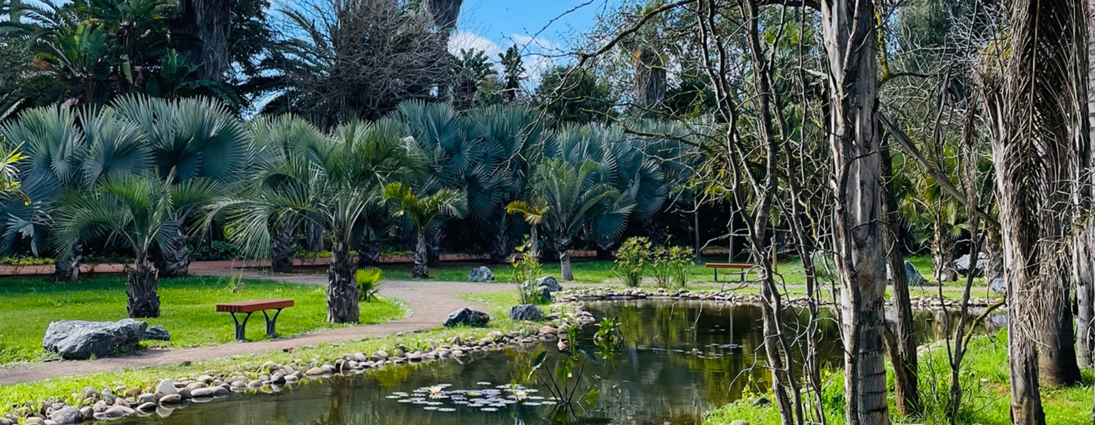 Jardin d’Essai Botanique – Rabat Ville Verte